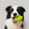 Durian-Shaped Dog Chew Toy – Durable Plastic Teeth-Cleaning Ball for Puppy Dental Health & Fun Play