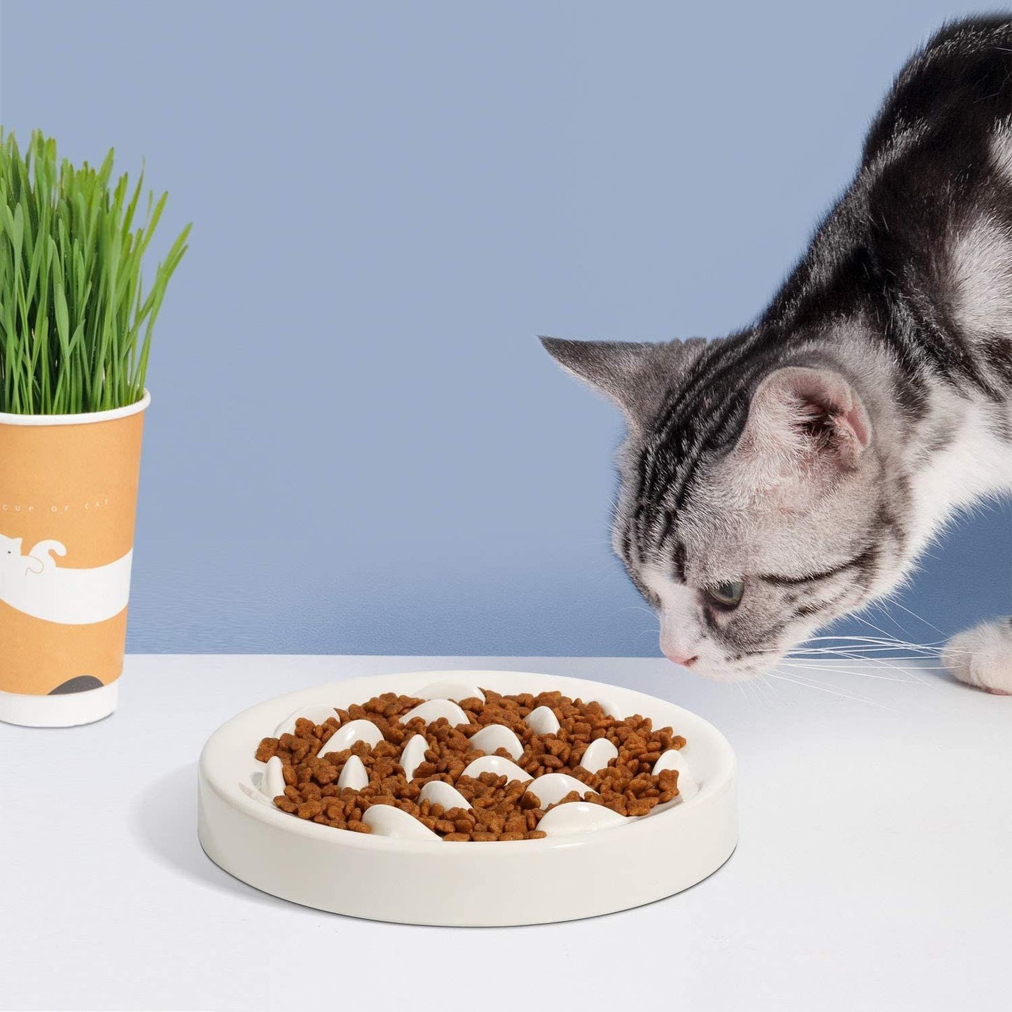 Slow Feeder Bowl for Dogs & Cats (Anti-Gulp, Non-Slip)