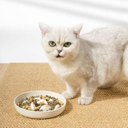 Slow Feeder Bowl for Dogs & Cats (Anti-Gulp, Non-Slip)