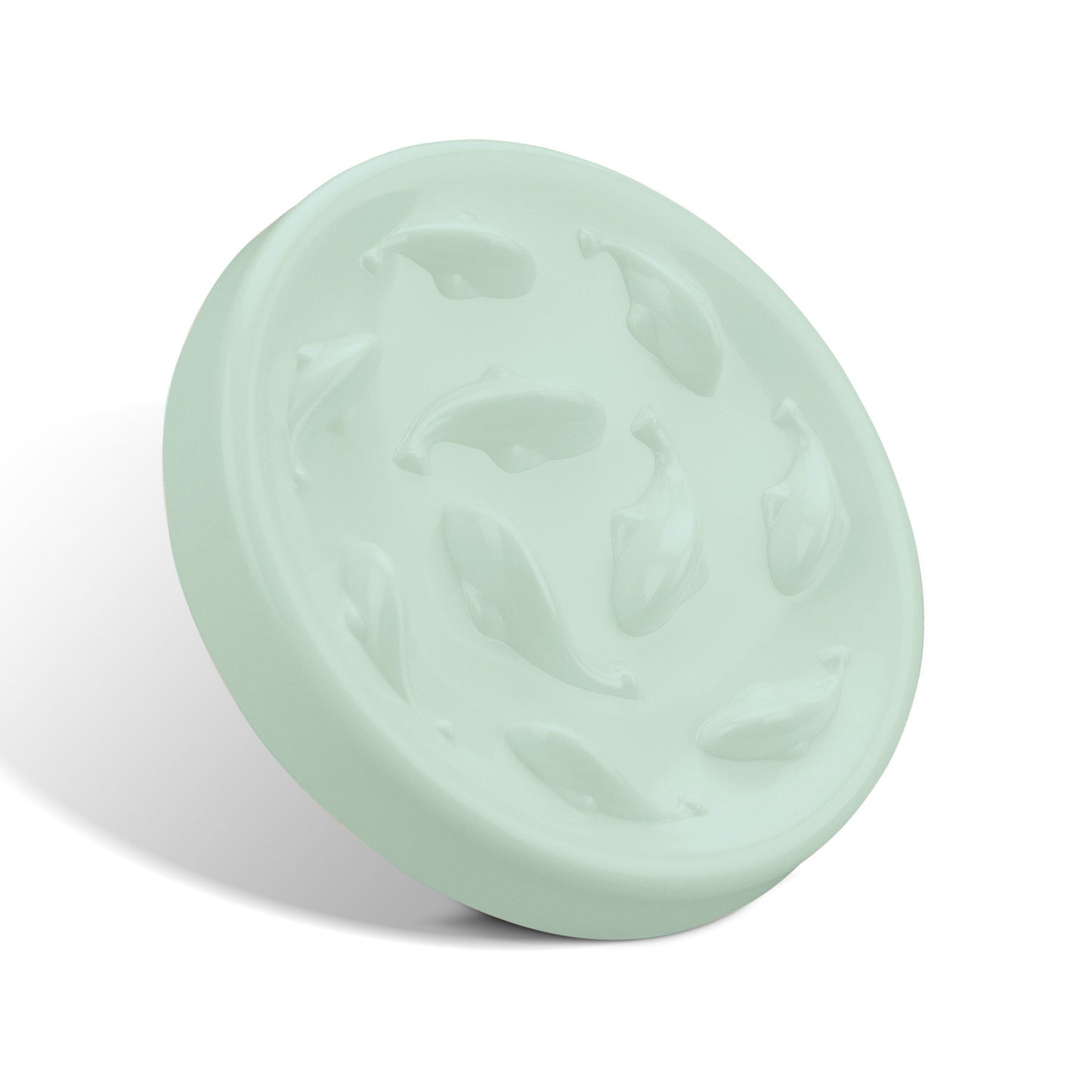 Slow Feeder Bowl for Dogs & Cats (Anti-Gulp, Non-Slip)