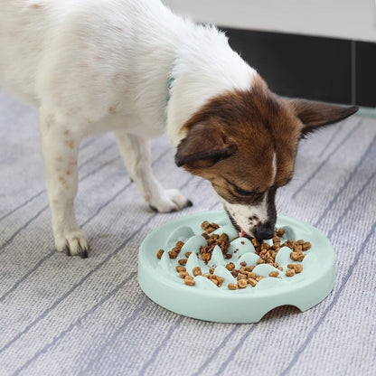 Slow Feeder Bowl for Dogs & Cats (Anti-Gulp, Non-Slip)