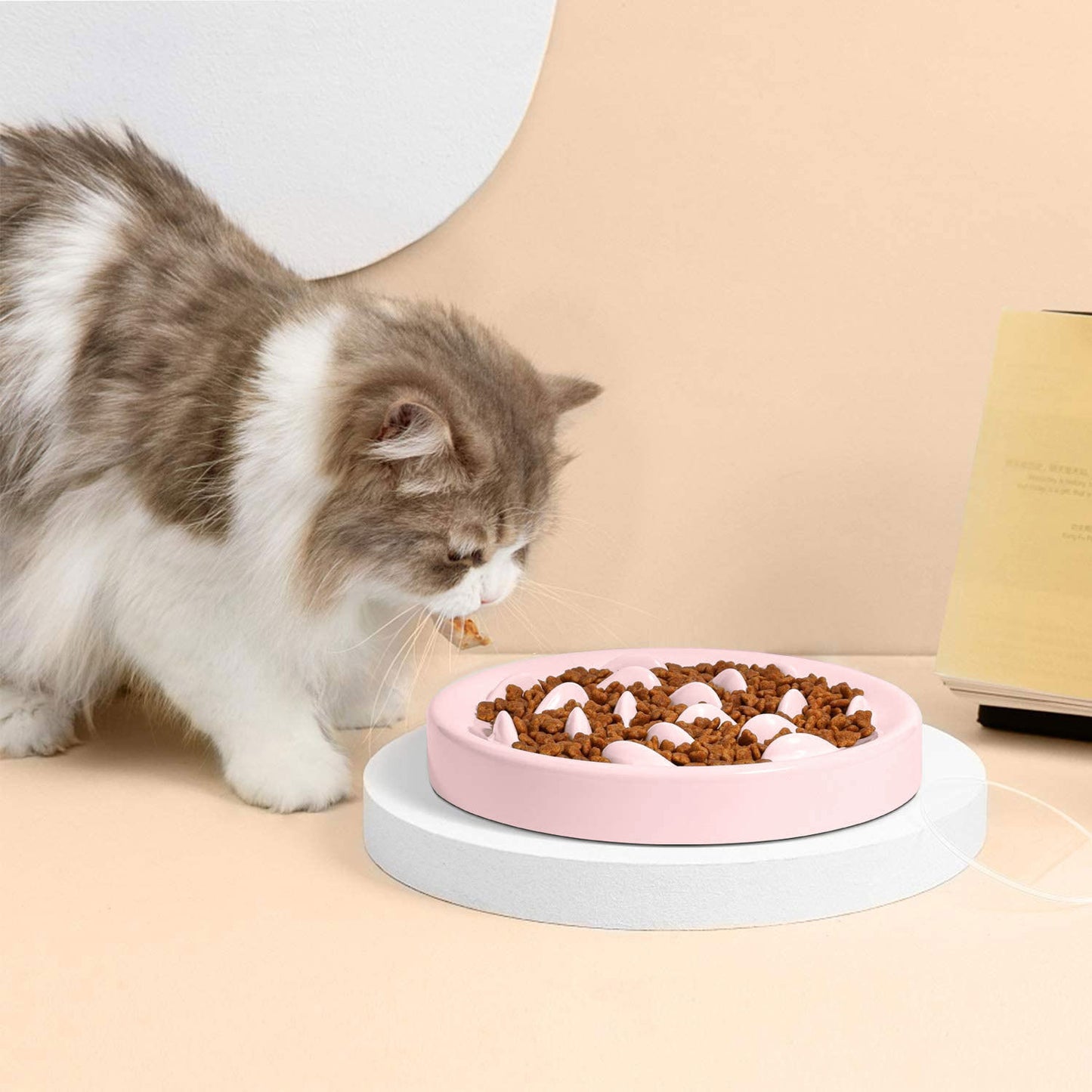 Slow Feeder Bowl for Dogs & Cats (Anti-Gulp, Non-Slip)